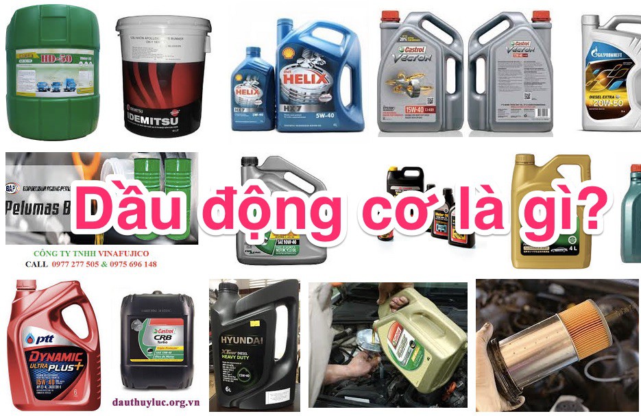 Dau Dong Co