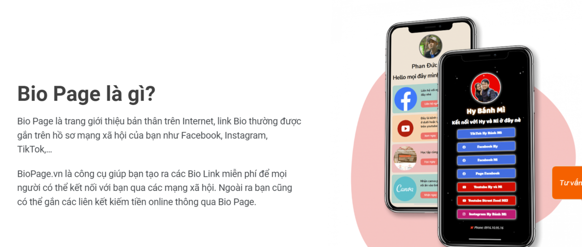 Cách gắn link bio vào TikTok, Instagram, Facebook dễ dàng với 4 bước - Phuongphap.vn (1)