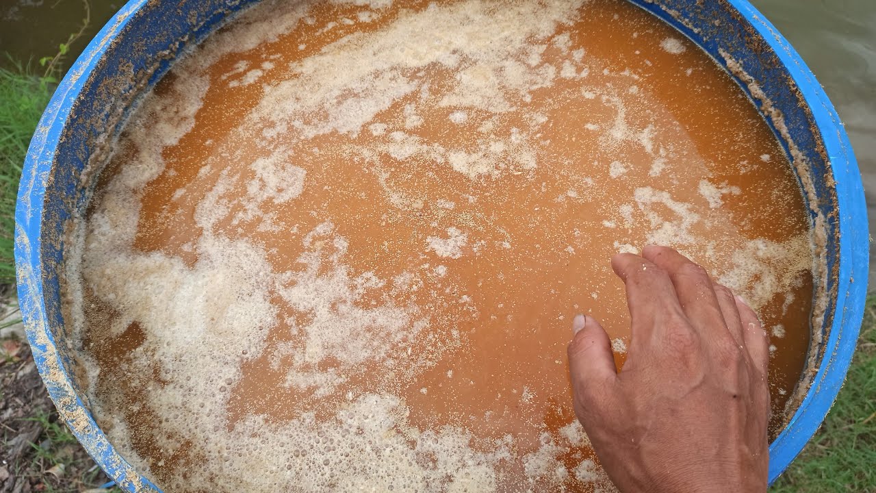 Phương pháp ủ cám gạo 2