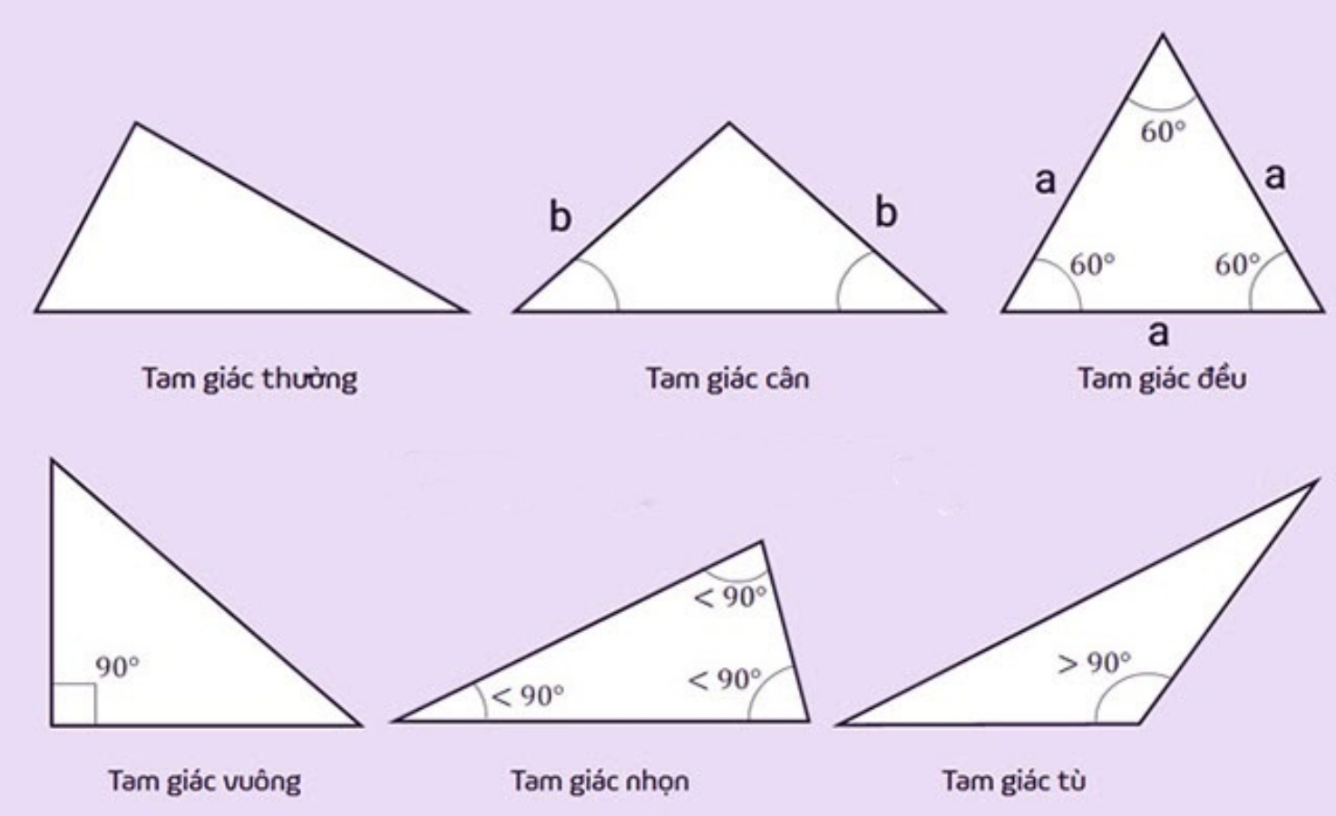 Cách tính diện tích tam giác 2