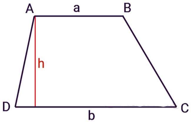 Cách tính diện tích hình thang 3