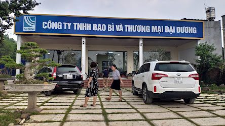 Cuộn băng dính và một vài thông tin có thể bạn chưa biết!