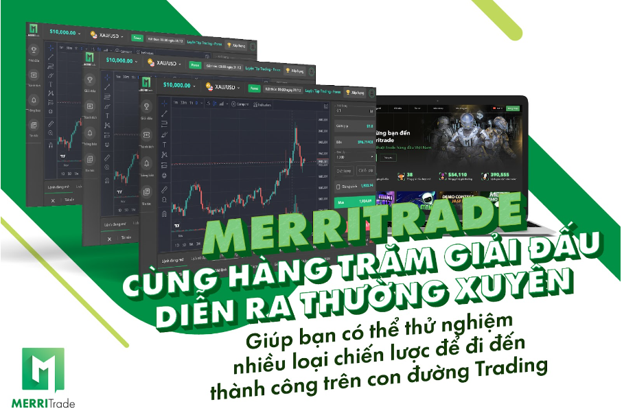 MerriTrade - Tìm giải pháp hoàn hảo cho việc chọn chiến lược giao dịch!