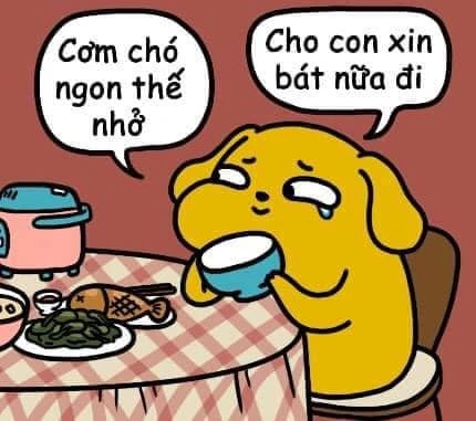 Cơm chó ngon thế nhở, cho con xin bát nữa đi